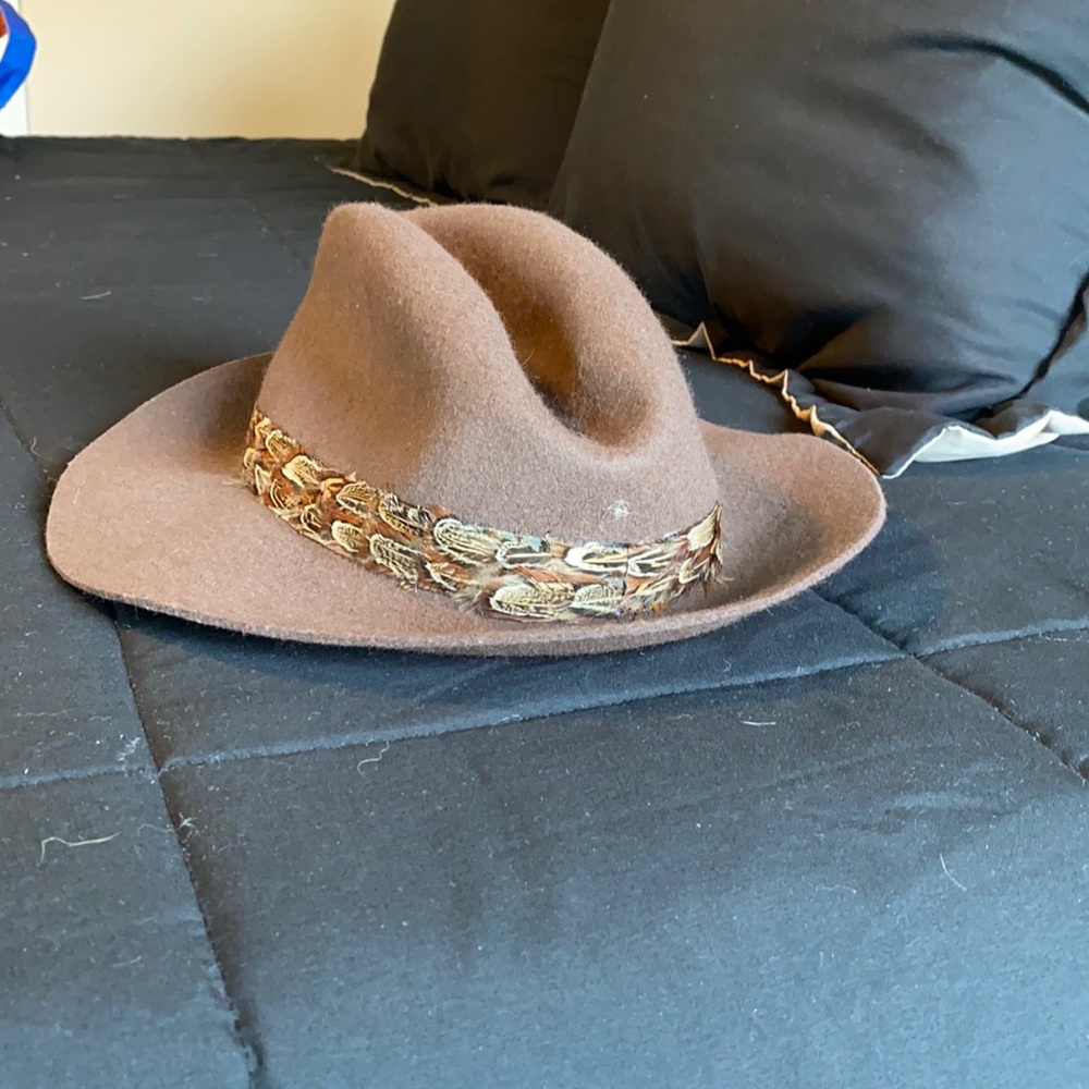 Brown Fedora Hat with Feather Band